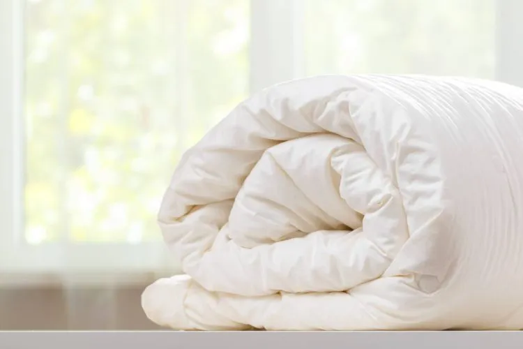 couette duvet naturelle chaude