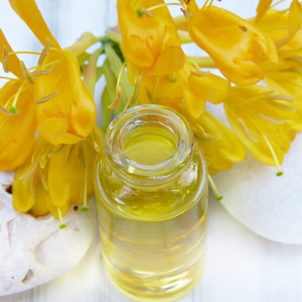 Optimisez_votre_routine_capillaire_avec_l_huile_de_jojoba