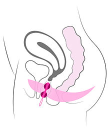 tampon